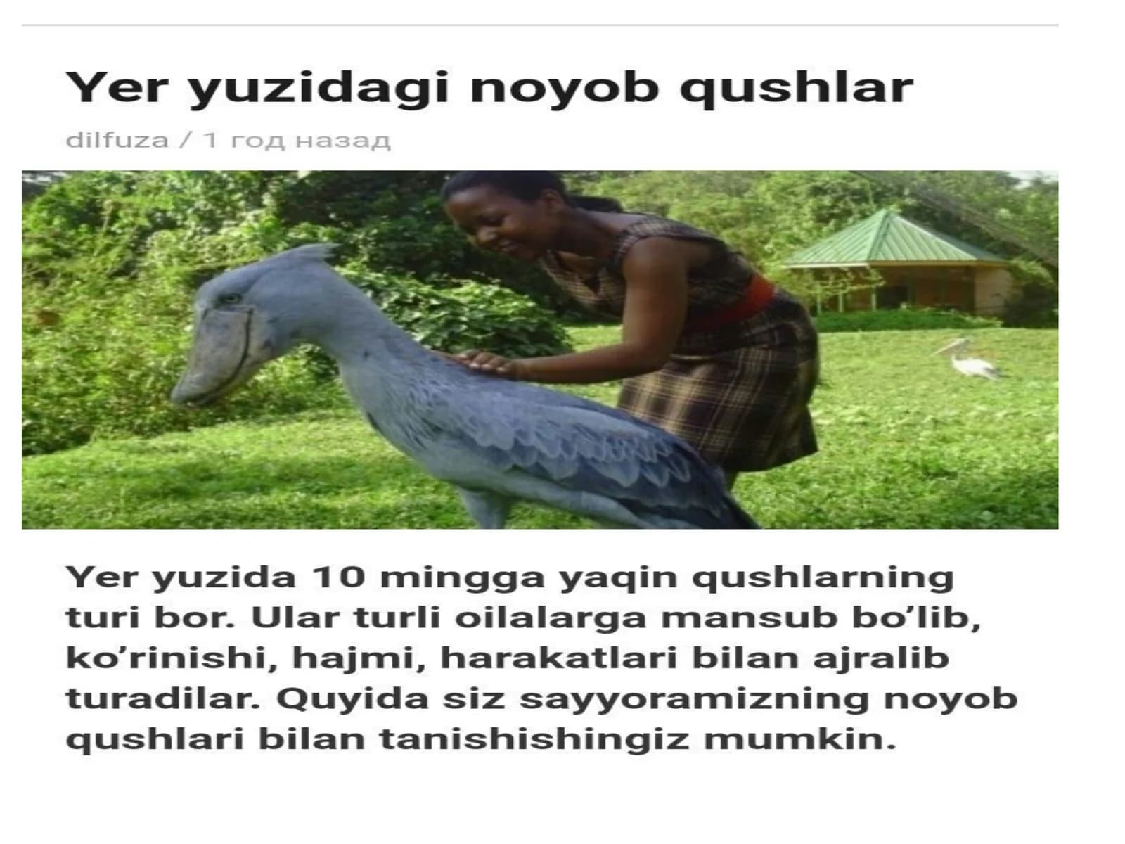 Jannatqushi