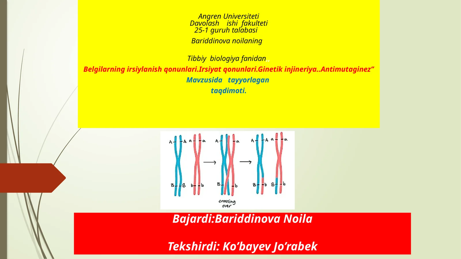 Irsiyat qonunlari