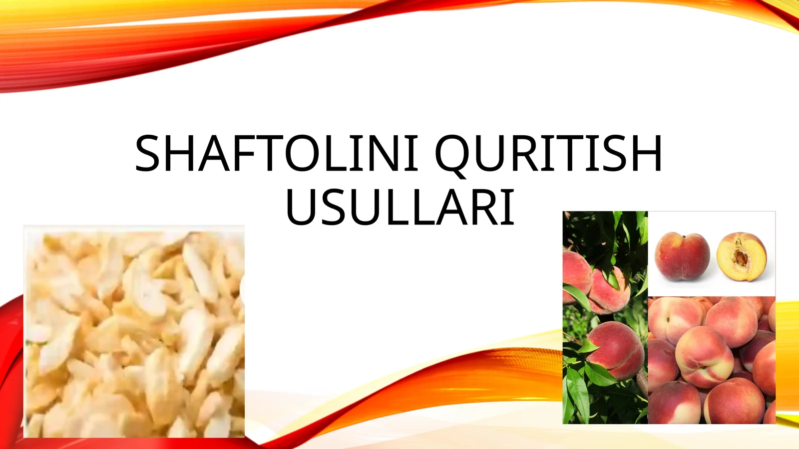 Shaftolini quritish usullari